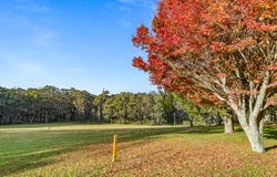 1177 Meryla Road, Meryla, NSW 2577