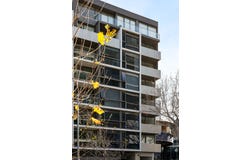 306/9 Eades Street, East Melbourne, Vic 3002
