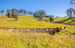 702 Wallanbah Road, Wallanbah, NSW 2422