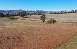 76 Sylvias Gap Road, Tumblong, NSW 2729