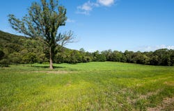 Lot 6, 38 Andrew Road, Closeburn, Qld 4520