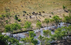 Dampier Downs Road, Gingerah, WA 6725