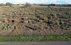 Lot 39, Canal Road, Renmark, SA 5341