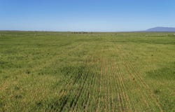 'Willochra' Willochra Road, Wilmington, SA 5485