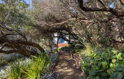 17 Brewster Road, Rye, Vic 3941