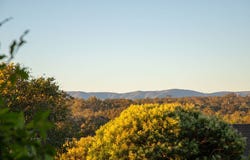 5 Hereward Court, Brassall, Qld 4305