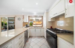 14 Wallis Crescent, Cecil Hills, NSW 2171
