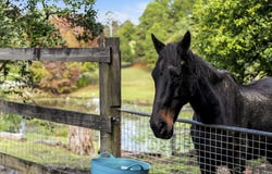 33 Deans Road, Boambee, NSW 2450