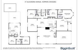 37 Alexandra Avenue, Hoppers Crossing, Vic 3029