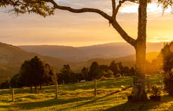 525 Maleny Kenilworth Road, Witta, Qld 4552