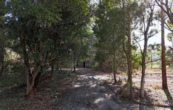 2390 Colac -Lavers Hill Road, Gellibrand, Vic 3239