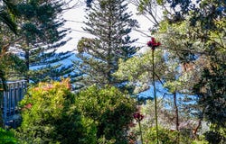 19 Gerda Road, Macmasters Beach, NSW 2251