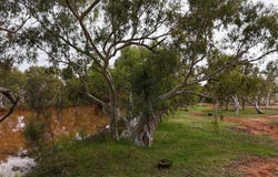Emu Creek Station, Yannarie, WA 6710