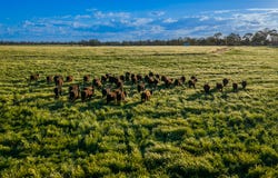 221R Narromine Road, Dubbo, NSW 2830
