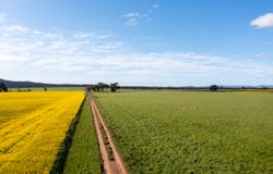 535 Barryrennie Road, Cowra, NSW 2794