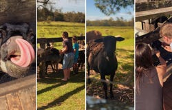 564 Marsh Road, Bobs Farm, NSW 2316
