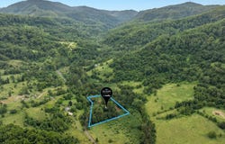 294 Gungas Road, Nimbin, NSW 2480