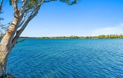 385 Blackmans Point Road, Blackmans Point, NSW 2444