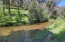 1711 Thowgla Road, Thowgla Valley, Vic 3707