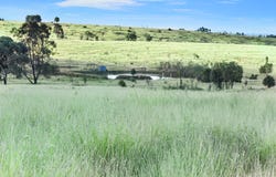 " Kooringa ", Roma, Qld 4455