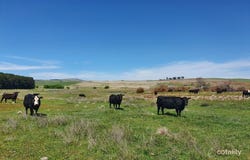 1193 Euradux Road, Braidwood, NSW 2622
