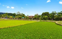 White Rock, Qld 4868
