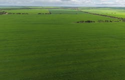 Sec 545 & Sec 554 Wayside Road, Kainton, SA 5552