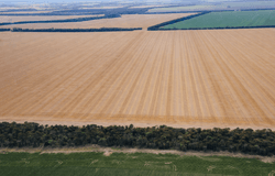 30286 CUNNINGHAM HIGHWAY, Goondiwindi, Qld 4390