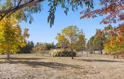 90 Wedge Street, Kyneton, Vic 3444