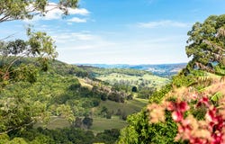 53 Barrys Road, Modanville, NSW 2480