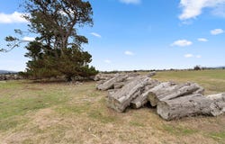 99 Sprent Street and 13-21 Montagu Street, Campbell Town, Tas 7210