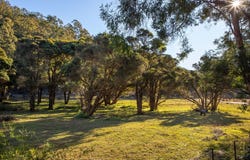 Lower Portland, NSW 2756