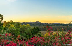 70 Foxs Lane, Tyagarah, NSW 2481
