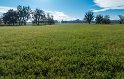 2594 Bedgerabong Road, Forbes, NSW 2871