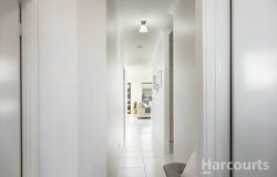 9 Boomerang Loop, Banksia Grove, WA 6031
