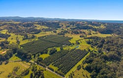 80 Midgen Flat Road, Broken Head, NSW 2481