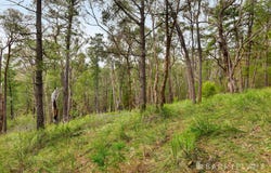 935 Buttermans Track, Christmas Hills, Vic 3775