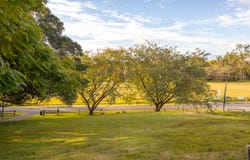 10 Obrien Road, Pullenvale, Qld 4069
