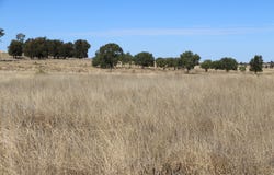 2053 Wallumbilla North Rd, Wallumbilla, Qld 4428