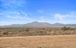 Lot 173 Bencic Road, Orroroo, SA 5431