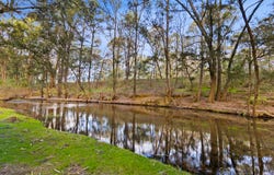 290 Riverlea Road, Mudgee, NSW 2850