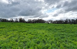'Willowbank' Urana Road, Jindera, NSW 2642