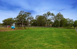 20 Threlkeld Drive, Cattai, NSW 2756