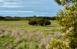 Lot 152 Cape Willoughby Road, Antechamber Bay, SA 5222