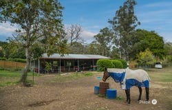 526 Jesmond Road, Fig Tree Pocket, Qld 4069