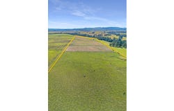 344 Sextonville Road, Casino, NSW 2470