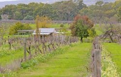 2 Forest Road, Henley Brook, WA 6055