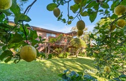 9 Castle Glen, North Nowra, NSW 2541