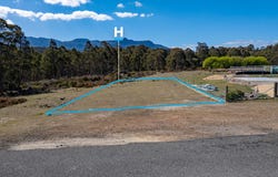 1 Walter Street, Rossarden, Tas 7213