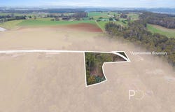 2a Park Drive, Ambleside, Tas 7310
